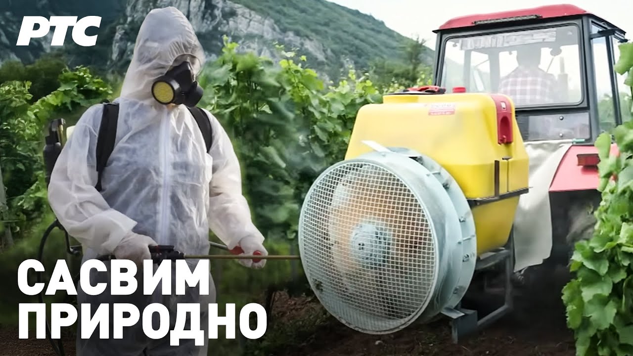 Hrana - juče, danas, sutra, prvi deo | Sasvim prirodno (Jovan Memedović)