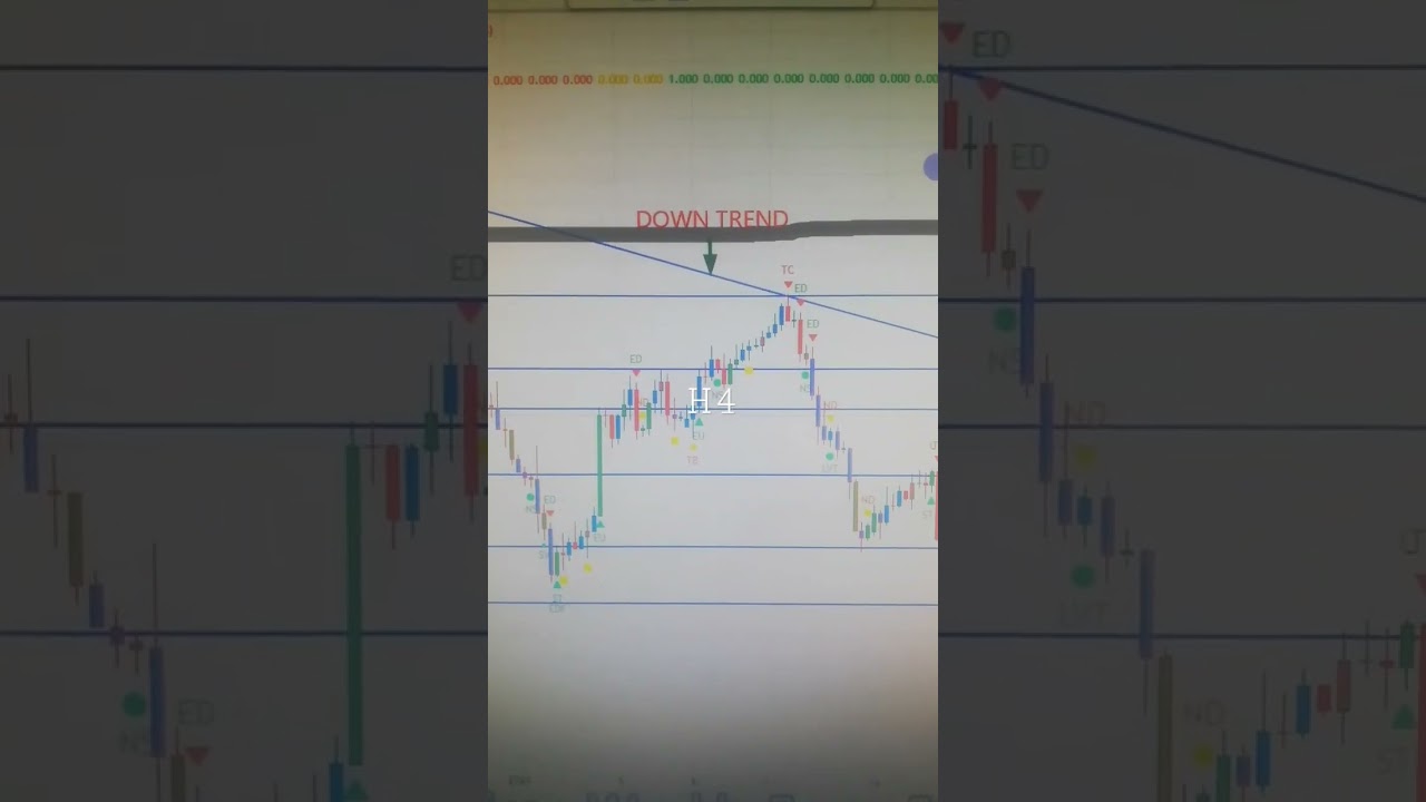 EURJPY 23 To 27 Jan 2023 American Weekly Forex Forecast  