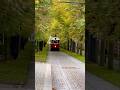 Prague, Czech Republic Fall Season #shortvideo #short #shorts #prague #czechrepublic #autumn