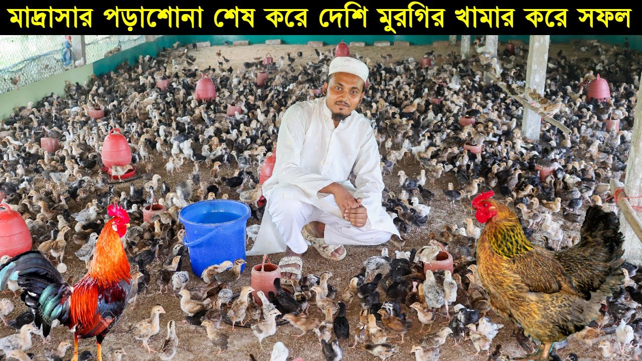 মাদ্রাসার পড়াশোনা শেষ করে বাড়ির সামনে দেশি মুরগির খামার করে সফল গাজীপুরের উদ্যোক্তা মাহফুজ