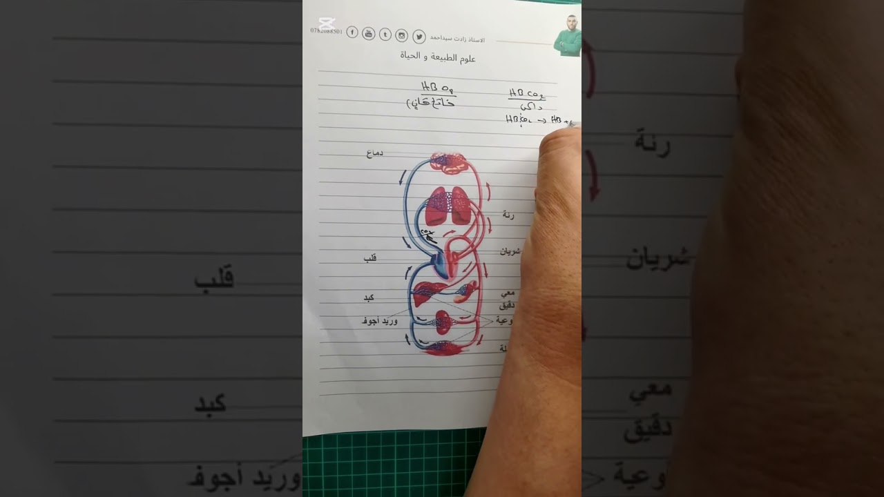 فكرة ولا مرة جات في البيام تحدي الخمسين يوم متراطيش