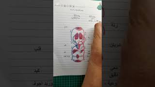 فكرة ولا مرة جات في البيام تحدي الخمسين يوم متراطيش