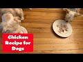 Give your dogs a healthy treat with this easy chicken recipe