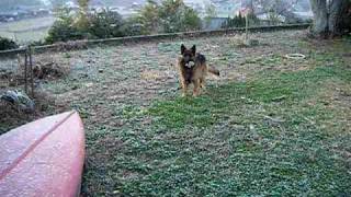 DSCF3680.AVI