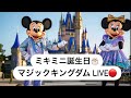 【WDW LIVE 