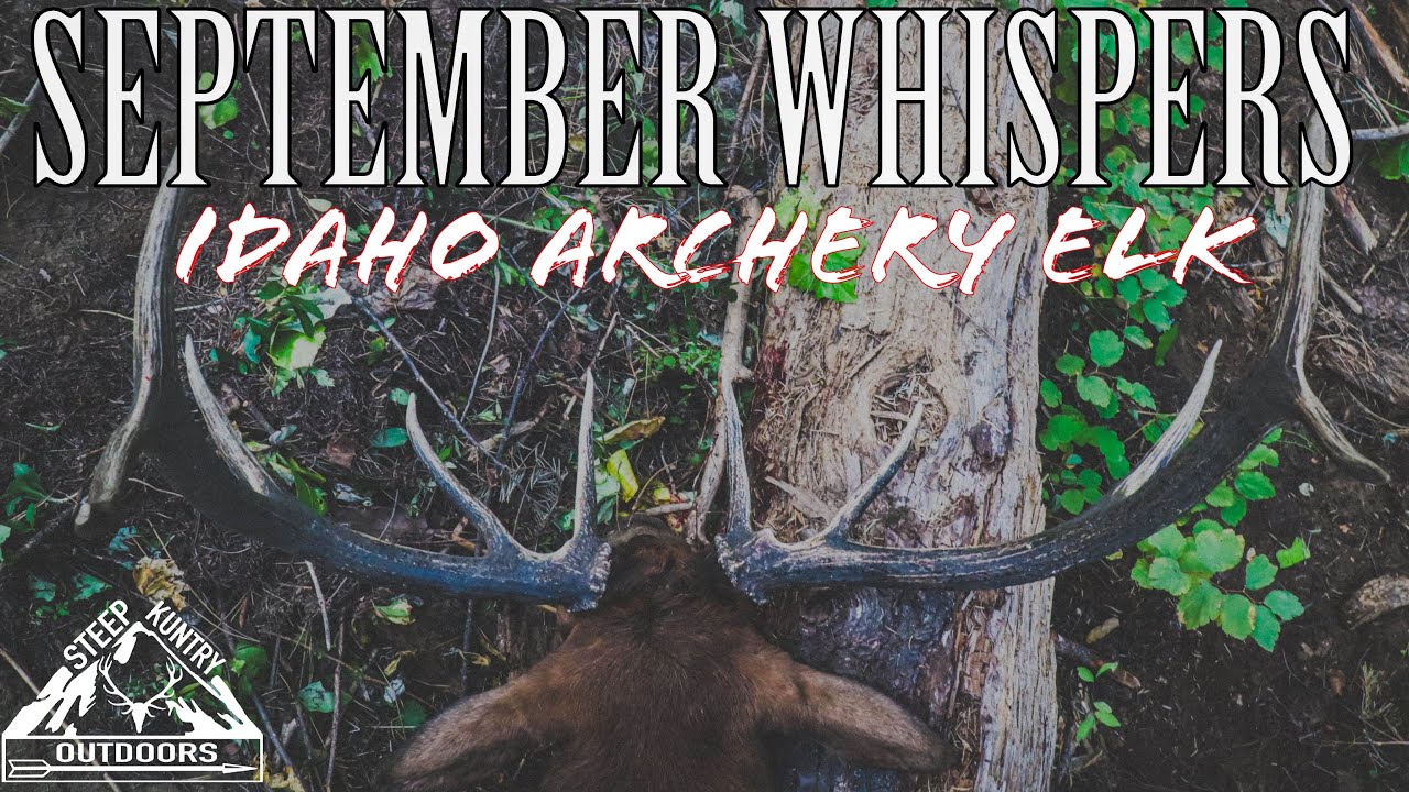 SEPTEMBER WHISPERS 2023 Idaho Archery Elk YouTube