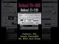 Roland TB-303 Bossa303 + Roland JC-120 Jazz Chorus | Mild Clean Groove