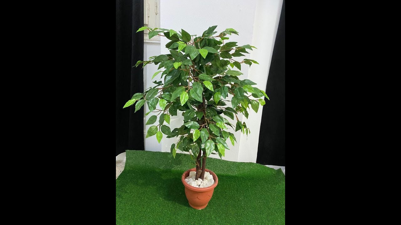 ب 500 جنيه فقط ابدأ مشروع ارباحه لا تقل عن 10000 جنيه