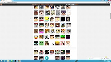 Epic Find On MinePlex Forums