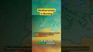 Mediterranean Wildfires: Climate Change Disaster