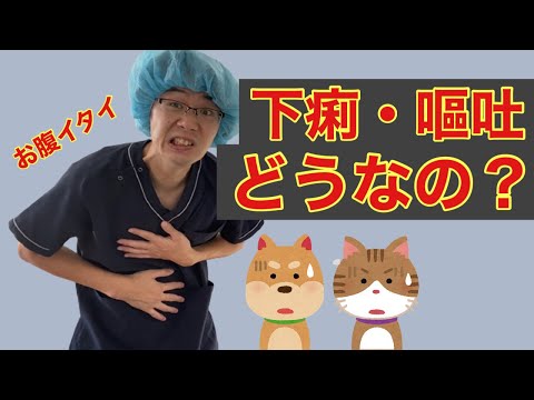 ロニダゾールの副作用と注意点｜犬猫の安全な使い方を徹底解説