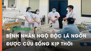 Bệnh nhân ngộ độc lá ngón được cứu sống kịp thời