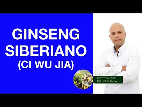 Vídeo: Qual é outro nome para Ginseng siberiano?