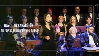 Nazlıcan Karakütük - Ne Feryad Edersin Divane Bülbül Resimi