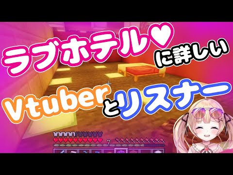 【マイクラ】マイクラでのセンシティブ回【りとるん切り抜き】