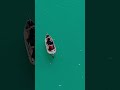 Peaceful Fishing Boat 🎣🌊 Calm Ocean View