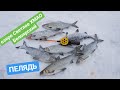 Пелядь ловля Пелядь ловля зимой 4 декабря 2017 г. Whitefish fishing in winter