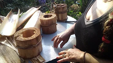 O que pode fazer com o tronco da bananeira?