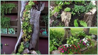 30+Amazing Tree Stump Planter Ideas/Cam garden