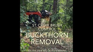 Buckthorn Removal on 27 acres in Wisconsin. Beautiful view Revealed!