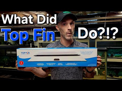 Top Fin Glass