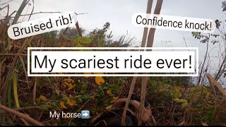 MY SCARIEST RIDE EVER! Bruised rib, confidence knock, was bitless a bad choice?? || Lexi and Ponies