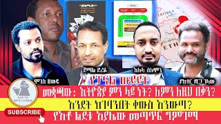 የውይይት ፓናል: 'መቋጫው! የአቶ ልደቱ አያሌው ሰነድ ግምገማ'