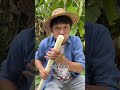 Are Banana Trees Edible |Chinese Mountain Forest Life And Food #MoTiktok #Fyp image