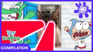 Boy & Dragon - Petualangan Pintu Baru | WildBrain Anak-Anak | WildBrain Anak-Anak