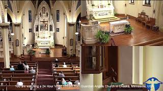 Guardian Angels 24 Hour Livestream