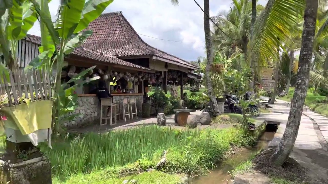 Sunny walk along Sweet Orange Walk Trail through the rice fields in Ubud, Bali.