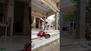 Ambil kedok cantik dihadang can macanan