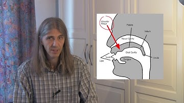 Thoughts on the Recorder, Video 10: Basic Technique: supporting the weight / tonguing