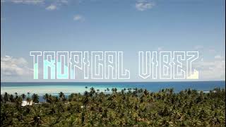 Download Lagu WTP (Sesma Remix) 2025 MP3