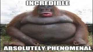 memes//shitpost status compilation 7