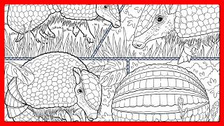 数字で色を塗るアプリ、アルマジロのイラスト、歩くパネル、屋外風景 #塗り絵 screenshot 3