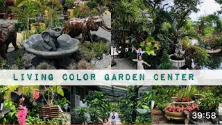 Tour por el JARDÍN VIVERO de Griffin no creerás todo lo que encontrarás!..