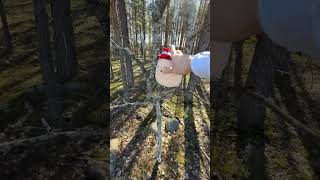 Otan random tyypistä kuvia?