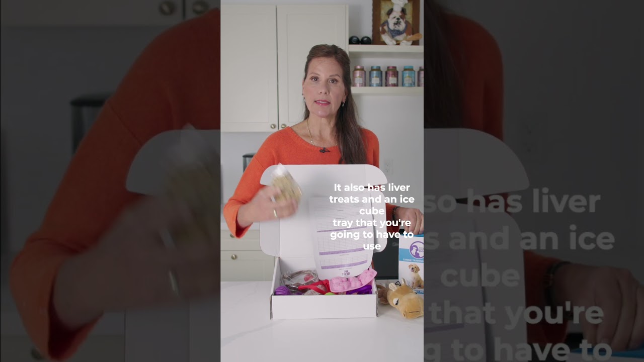 DeenaSpeaksDog - Puppy System