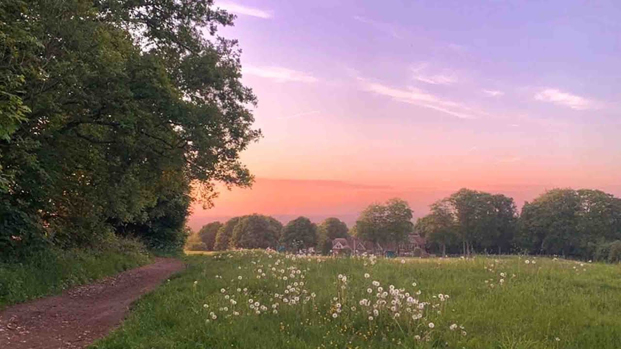 a playlist for living in the countryside 🍃a quiet life playlist