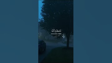 الشيخ بيشه وا الكردي سورة آل عمران الآية 135  #بيشة_قادر_الكردي