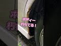 愛車遍歴 #車 #shorts