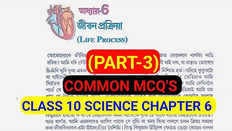 (Part-3) Class 10 Science Chapter 6 Life Process Common MCQ