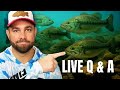 LIVE Bass Fishing Q&A