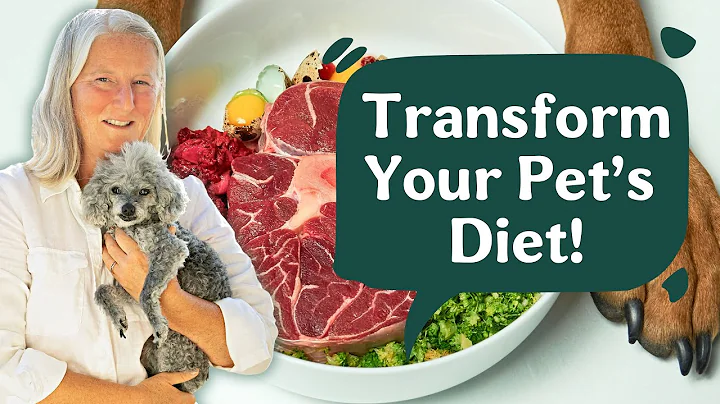 Home-cooked Meals for Pets | The Original Crockpet...