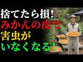 【絶対失敗しない】みかんの皮で畑が変わる！捨てないで活用する4つの方法 | ガーデニング | 栽培 | 雑草対策