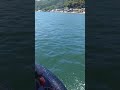 明日晴れてタムレ~🌞