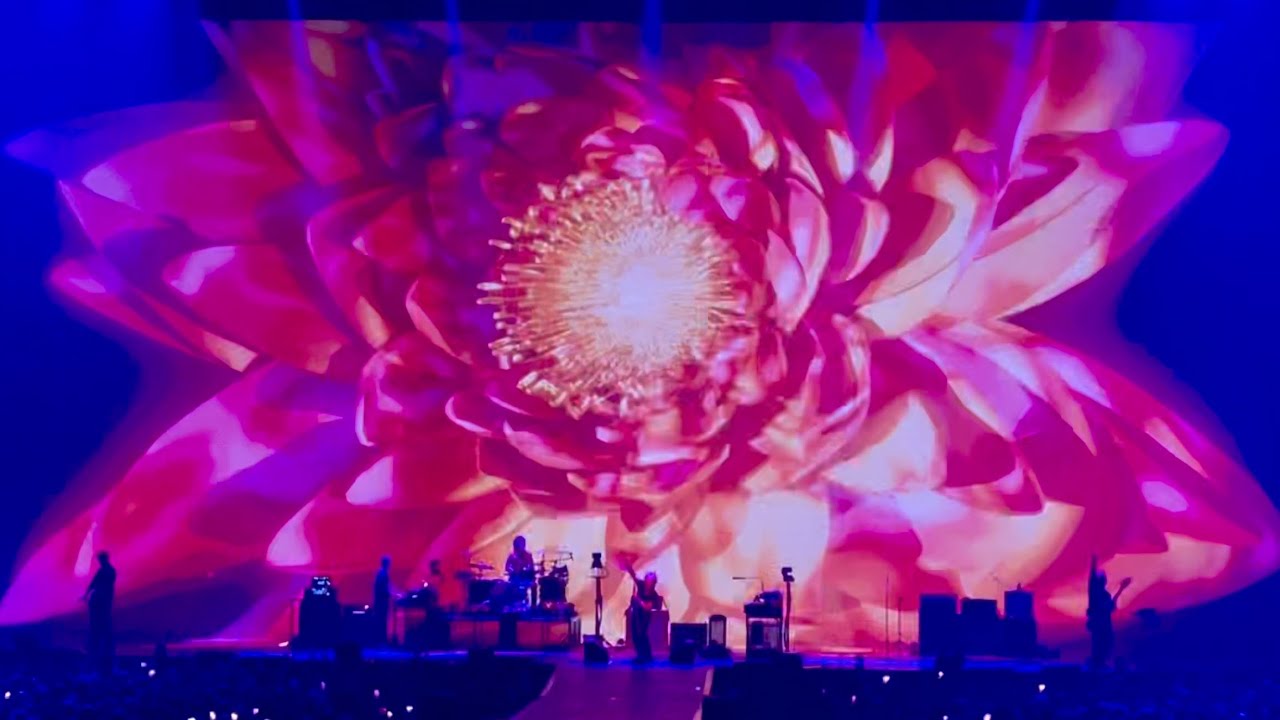 Indochine - Des fleurs pour Salinger (Live Arena Tour 2025 at Arkéa Arena, Bordeaux 2)
