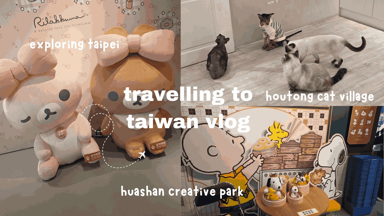 taiwan vlog | jiufen, cat cafe, night markets, pop-up stores and more •ﻌ•