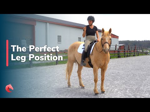 The Perfect Leg Position